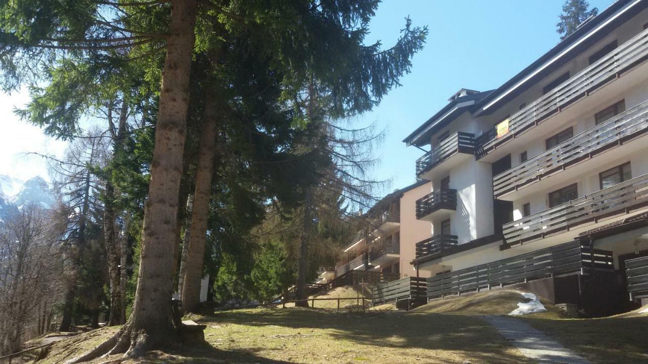 דירות Casa Cinque Funghi A פולגרידה מראה חיצוני תמונה
